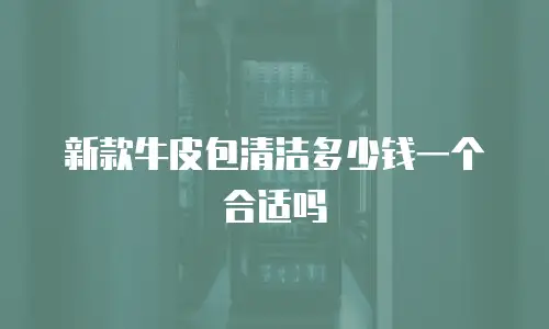 新款牛皮包清洁多少钱一个合适吗