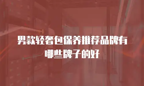 男款轻奢包保养推荐品牌有哪些牌子的好