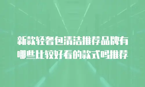 新款轻奢包清洁推荐品牌有哪些比较好看的款式吗推荐