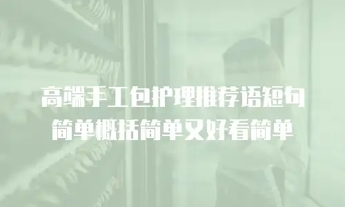高端手工包护理推荐语短句简单概括简单又好看简单