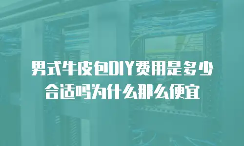 男式牛皮包DIY费用是多少合适吗为什么那么便宜