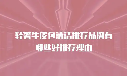 轻奢牛皮包清洁推荐品牌有哪些好推荐理由