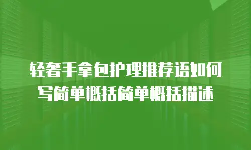 轻奢手拿包护理推荐语如何写简单概括简单概括描述