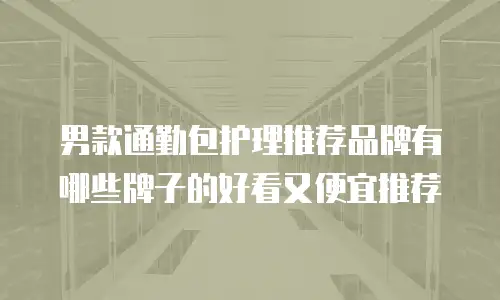 男款通勤包护理推荐品牌有哪些牌子的好看又便宜推荐