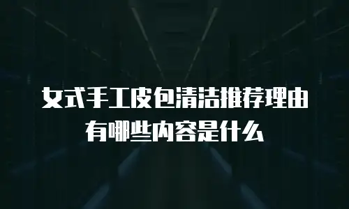 女式手工皮包清洁推荐理由有哪些内容是什么