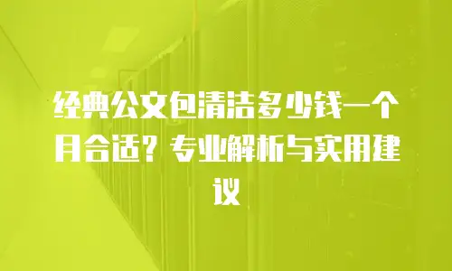 经典公文包清洁多少钱一个月合适？专业解析与实用建议