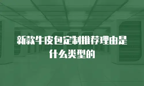 新款牛皮包定制推荐理由是什么类型的