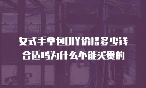 女式手拿包DIY价格多少钱合适吗为什么不能买贵的