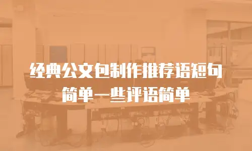 经典公文包制作推荐语短句简单一些评语简单