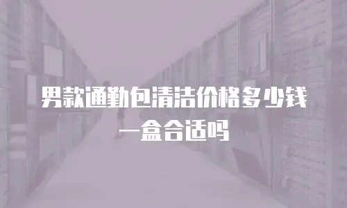 男款通勤包清洁价格多少钱一盒合适吗