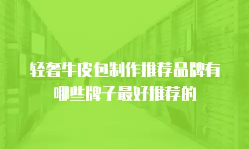 轻奢牛皮包制作推荐品牌有哪些牌子最好推荐的