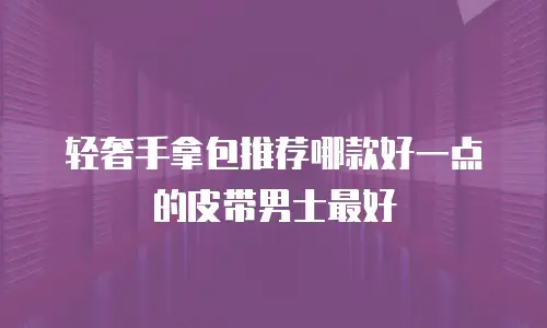 轻奢手拿包推荐哪款好一点的皮带男士最好