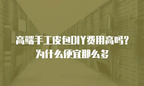 高端手工皮包DIY费用高吗？为什么便宜那么多