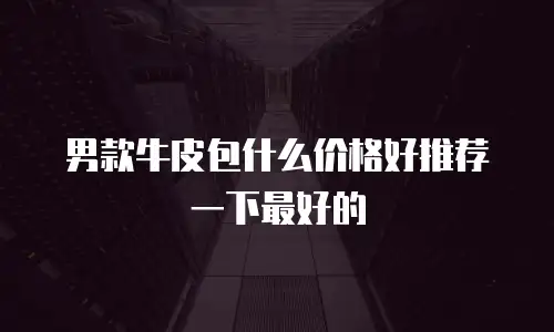 男款牛皮包什么价格好推荐一下最好的