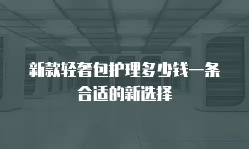 新款轻奢包护理多少钱一条合适的新选择