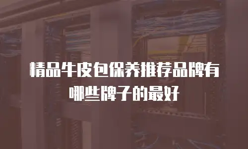 精品牛皮包保养推荐品牌有哪些牌子的最好