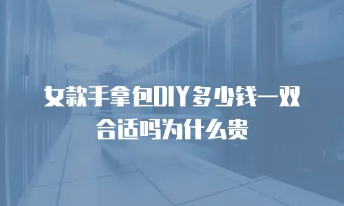 女款手拿包DIY多少钱一双合适吗为什么贵