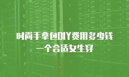 时尚手拿包DIY费用多少钱一个合适女生穿