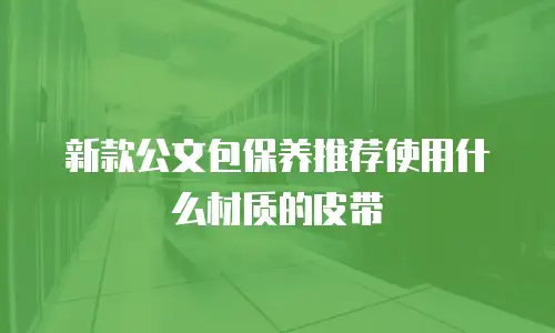 新款公文包保养推荐使用什么材质的皮带
