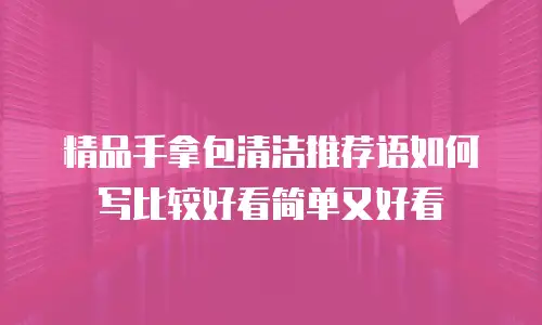 精品手拿包清洁推荐语如何写比较好看简单又好看