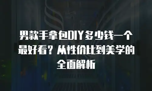 男款手拿包DIY多少钱一个最好看？从性价比到美学的全面解析