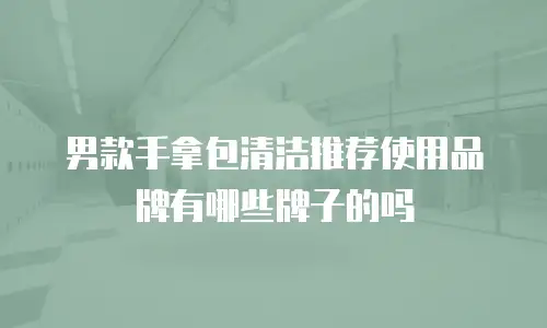 男款手拿包清洁推荐使用品牌有哪些牌子的吗