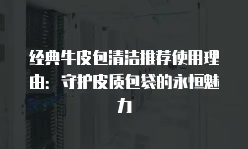 经典牛皮包清洁推荐使用理由：守护皮质包袋的永恒魅力