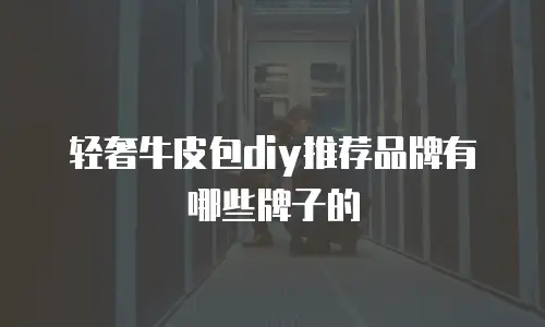 轻奢牛皮包diy推荐品牌有哪些牌子的
