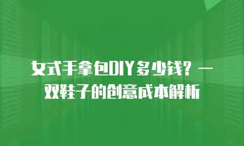 女式手拿包DIY多少钱？一双鞋子的创意成本解析