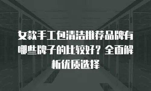 女款手工包清洁推荐品牌有哪些牌子的比较好？全面解析优质选择