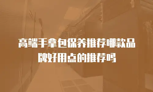 高端手拿包保养推荐哪款品牌好用点的推荐吗