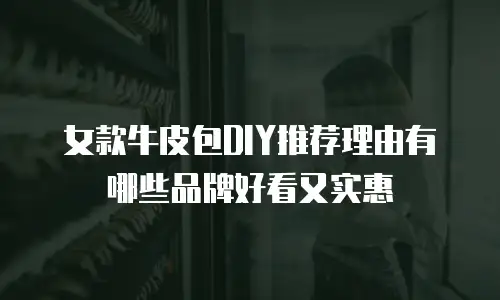 女款牛皮包DIY推荐理由有哪些品牌好看又实惠