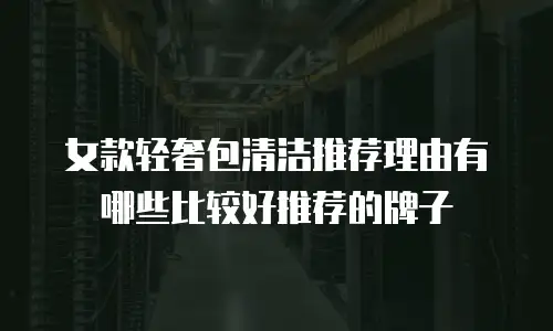 女款轻奢包清洁推荐理由有哪些比较好推荐的牌子