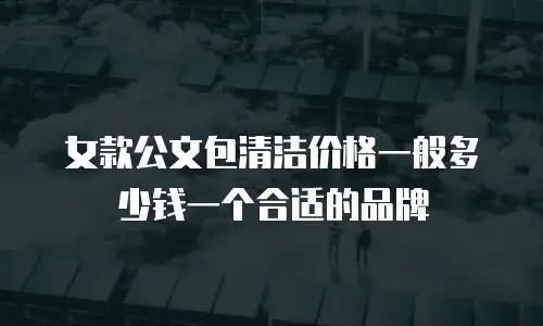 女款公文包清洁价格一般多少钱一个合适的品牌