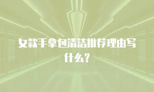 女款手拿包清洁推荐理由写什么？