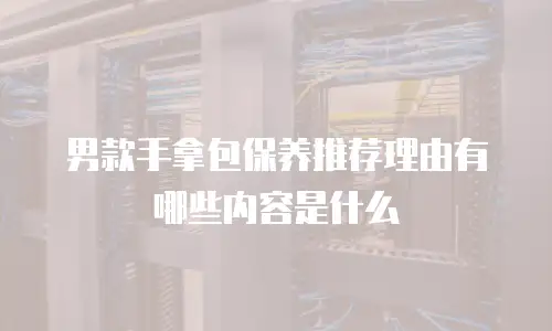 男款手拿包保养推荐理由有哪些内容是什么