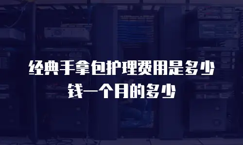 经典手拿包护理费用是多少钱一个月的多少