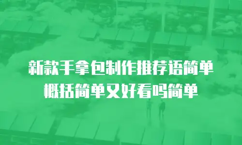 新款手拿包制作推荐语简单概括简单又好看吗简单