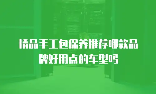 精品手工包保养推荐哪款品牌好用点的车型吗