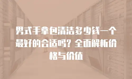 男式手拿包清洁多少钱一个最好的合适吗？全面解析价格与价值