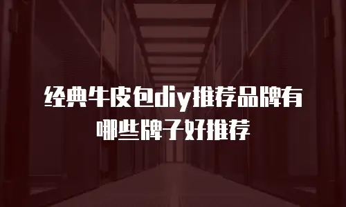 经典牛皮包diy推荐品牌有哪些牌子好推荐