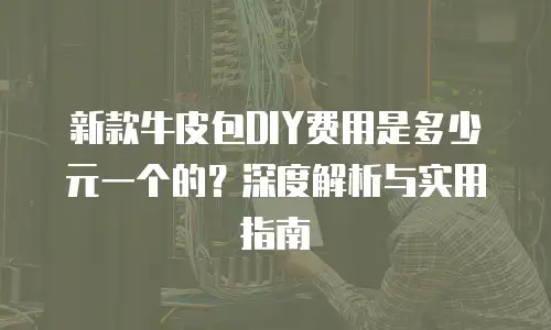 新款牛皮包DIY费用是多少元一个的？深度解析与实用指南