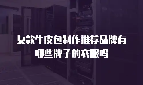 女款牛皮包制作推荐品牌有哪些牌子的衣服吗