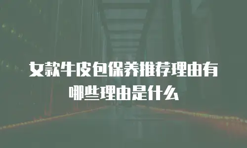 女款牛皮包保养推荐理由有哪些理由是什么