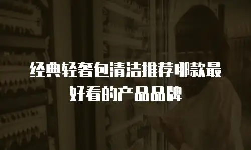 经典轻奢包清洁推荐哪款最好看的产品品牌