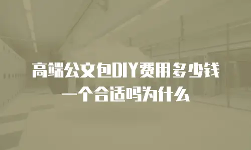 高端公文包DIY费用多少钱一个合适吗为什么