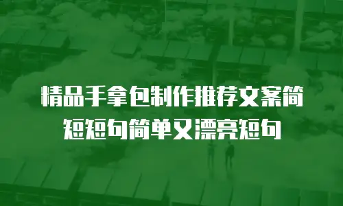 精品手拿包制作推荐文案简短短句简单又漂亮短句