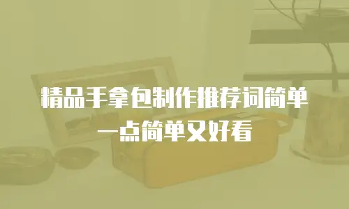 精品手拿包制作推荐词简单一点简单又好看