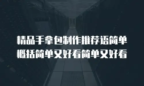 精品手拿包制作推荐语简单概括简单又好看简单又好看