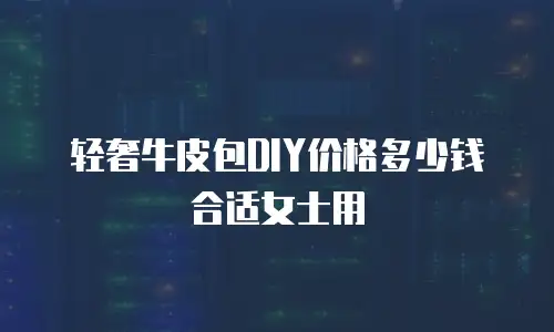 轻奢牛皮包DIY价格多少钱合适女士用